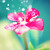 :iconaysha88: