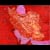 :iconazadi-khahan: