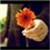 :iconazafranaroma: