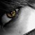 :iconazaharapfphotography: