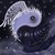 :iconazarath-m-z: