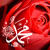 :iconazarbayev: