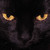 Azraelia :iconazraelia: