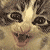 :iconazrealabis: