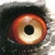 :iconaztec123: