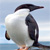 :iconazulproject: