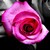 :iconazure097: