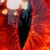 :iconazureflamemax: