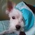:iconazureyelle:
