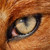 Azuria1 :iconazuria1: