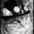 :iconazzarine: