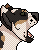 :iconb0nesaws: