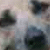 :iconb0wie: