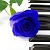 :iconb1uesmiley: