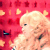:iconb2stobsessd: