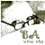 :iconb-anewera: