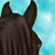 :iconb-k-b: