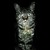 :iconb-lotus: