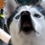 :iconb-oners:
