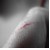 :iconb-rhino: