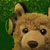 :iconb-sandy: