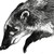:iconB-Smitty: