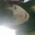:iconb-xo: