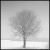 :iconb-yrslf: