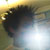 :iconbaaaym: