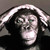 :iconbaad-artist: