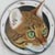 :iconbabelou: