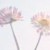 :iconbabirussza: