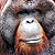 :iconbaboonbreast: