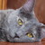 :iconbabybearphotography: