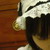 :iconbabyblood: