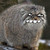 :iconbabybraby: