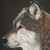 :iconbabydragon11: