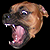 :iconbabyeatindingo: