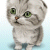 :iconbabykitten: