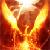 :iconbabyphoenix:
