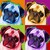 :iconbabypugsy: