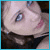 :iconbabyshadow: