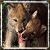:iconbabywolfpup34: