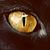 :iconbabyycherry: