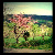 :iconbacardinik89: