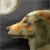 :iconback-to-the-remady: