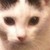 :iconbackfromthesun: