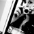 :iconbackoflove: