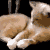 Backsackandjack :iconbacksackandjack: