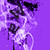 :iconbacktodecemberwynter: